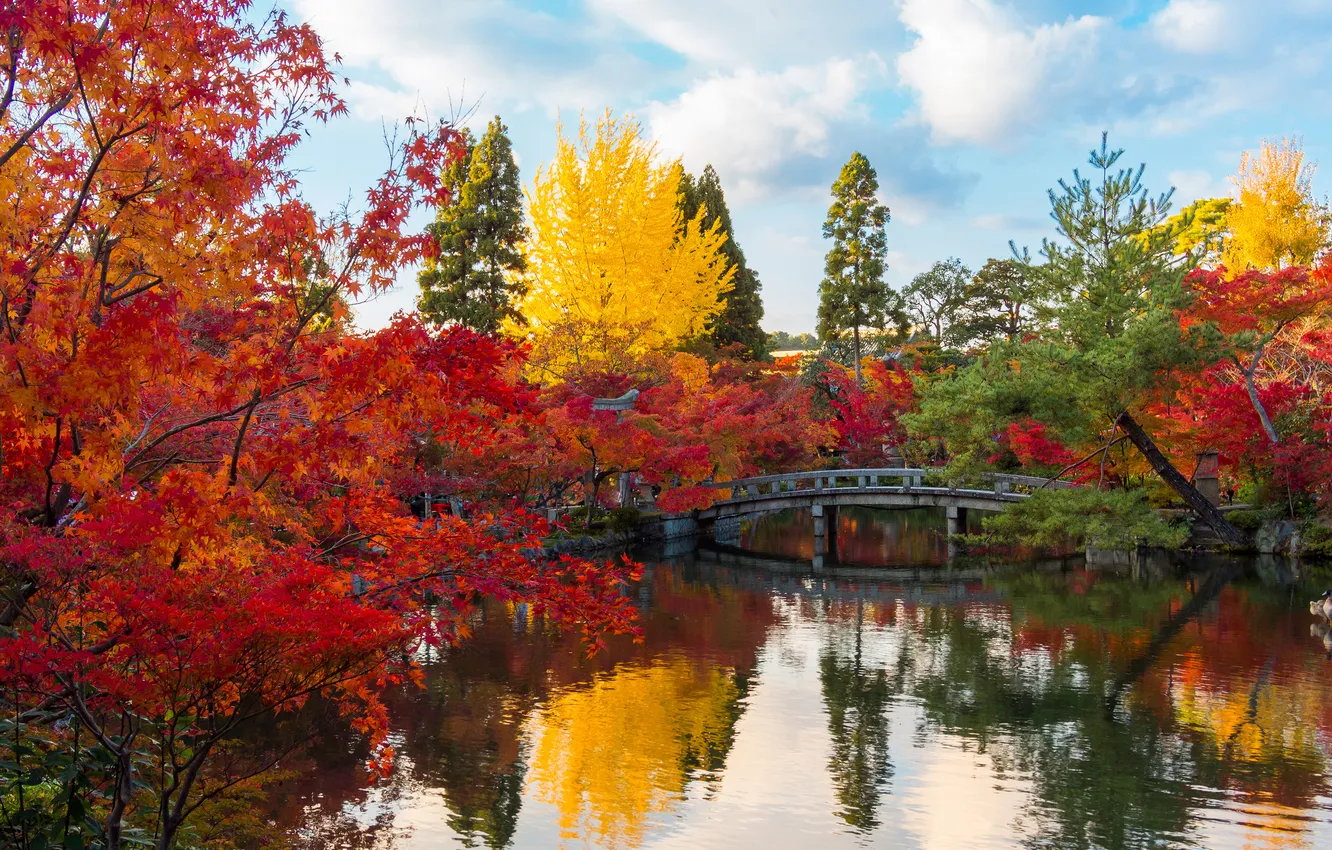 Photo wallpaper autumn, leaves, trees, nature, pond, Park, Japan, garden