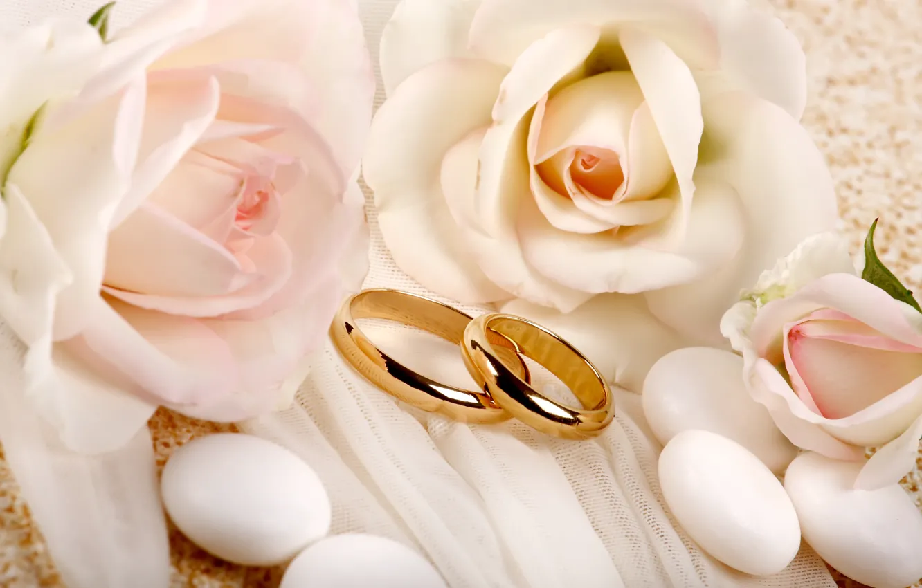 Photo wallpaper flowers, roses, ring