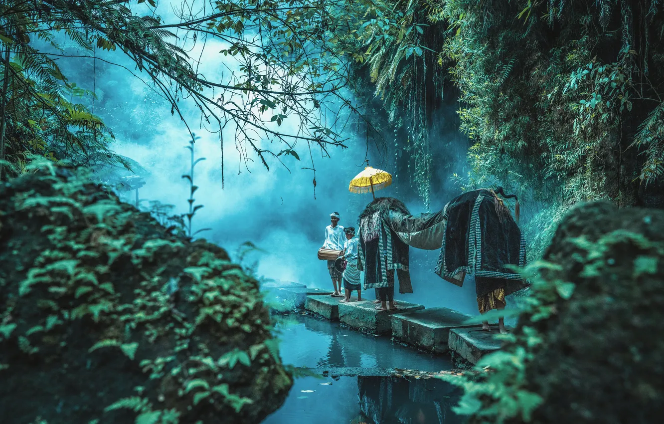 Photo wallpaper wallpaper, photography, portrait, High Definition