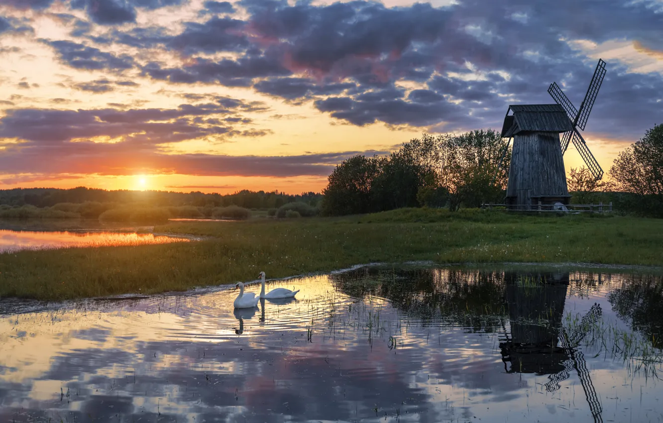 Photo wallpaper swans, pond, windmill
