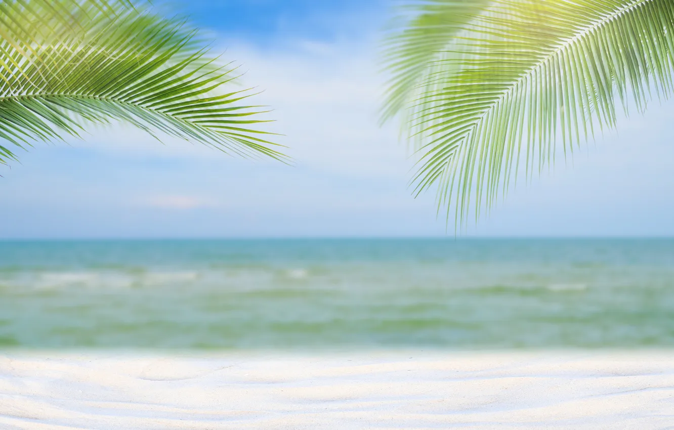 Photo wallpaper sand, sea, beach, summer, the sky, palm trees, summer, beach