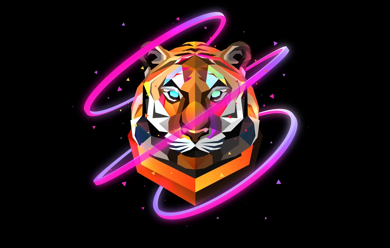 Photo wallpaper fragments, abstraction, tiger, black background, abstraction, Justin Maller, Justin Muller, Euphrates