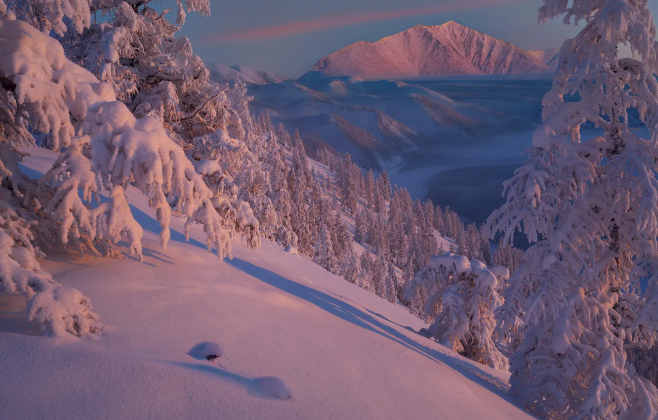 Photo wallpaper winter, snow, trees, mountains, the snow, Russia, Yakutia, Vladimir Ryabkov
