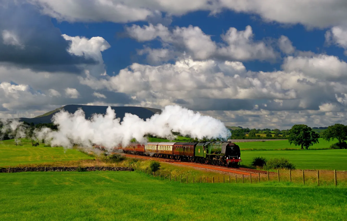 Photo wallpaper greens, field, summer, grass, clouds, trees, the way, blue
