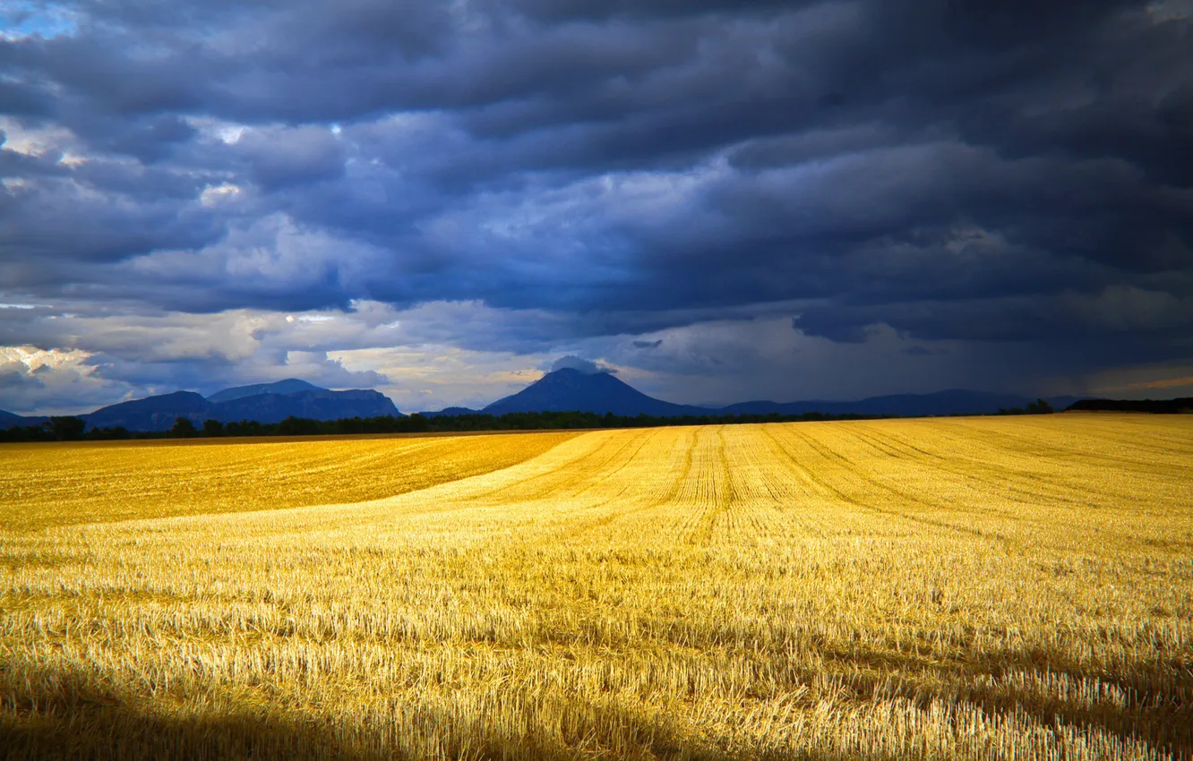 Photo wallpaper field, the sky, clouds, beveled