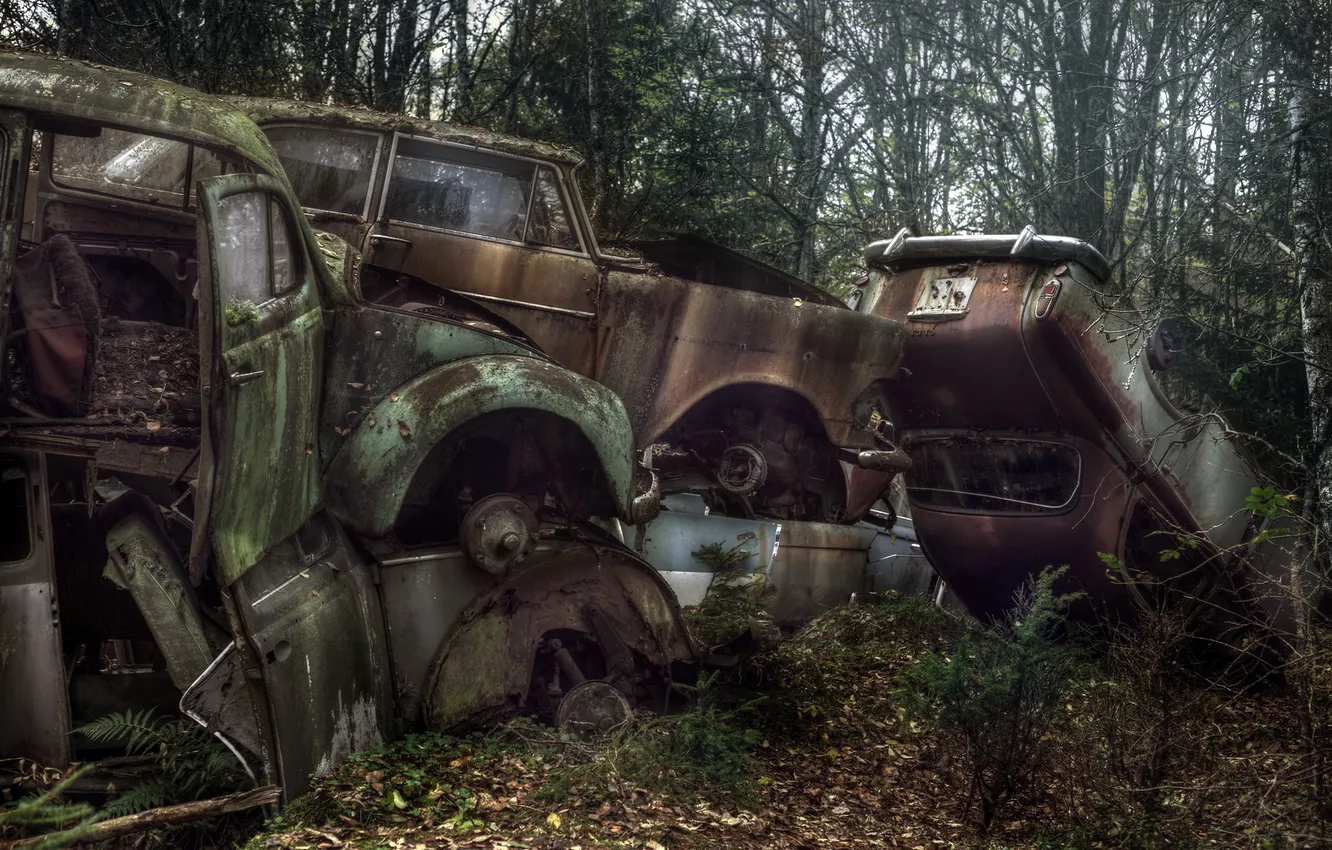 Photo wallpaper car, woods, walking dead