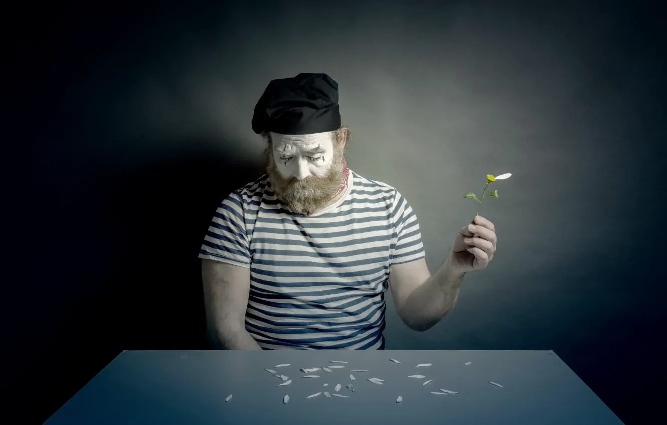 Photo wallpaper flowers, people, chamomile, MIM