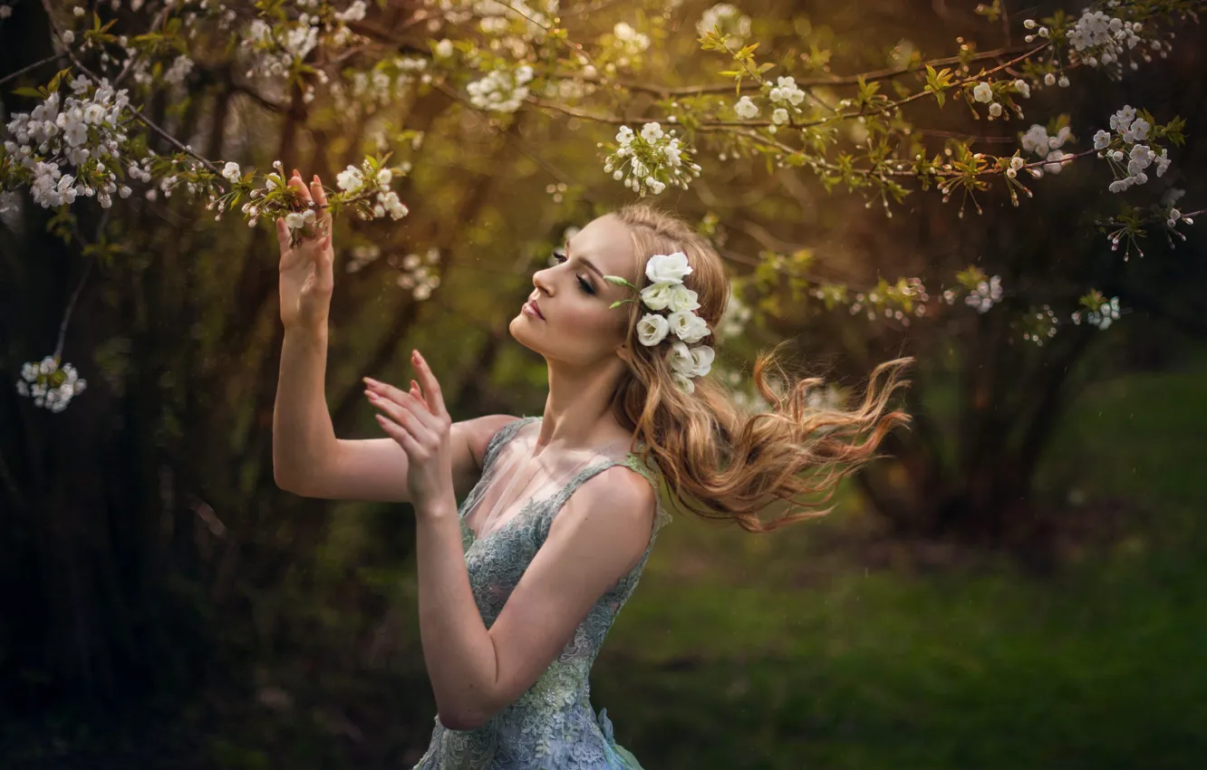 Photo wallpaper girl, cherry, photo, spring, dress, beautiful, flowering, dagmara