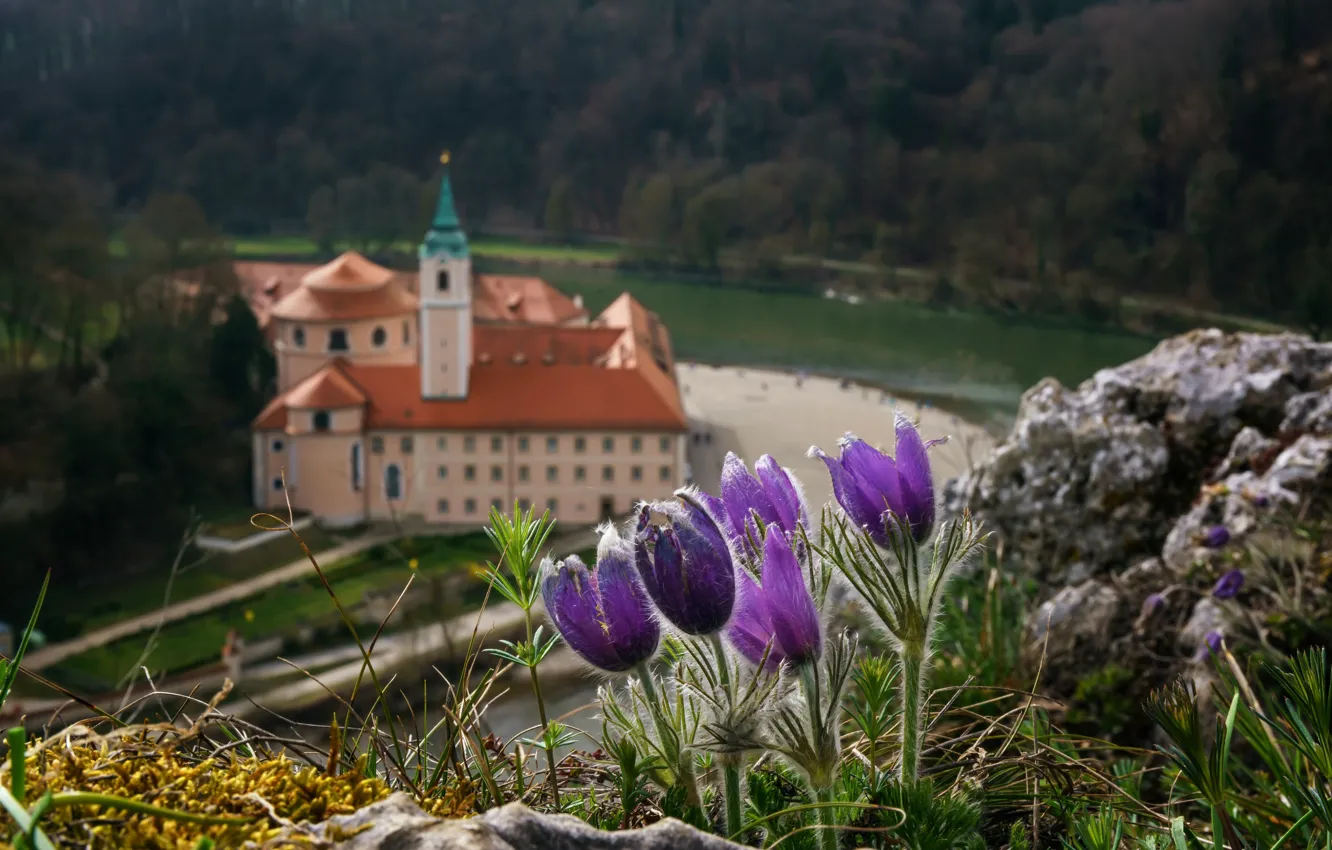 Photo wallpaper forest, landscape, flowers, nature, river, stones, Germany, Bayern
