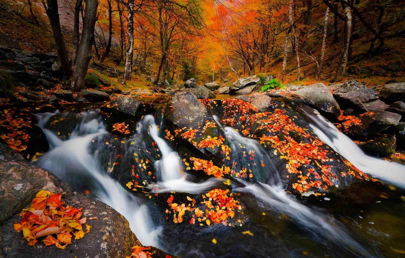 Photo wallpaper stones, waterfall, foliage, autumn leaves, autumn, forest
