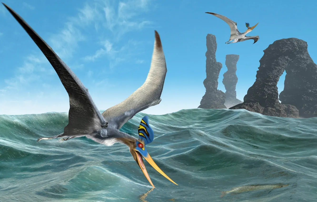 Photo wallpaper sea, flight, rocks, bird, arch, pterodactyl