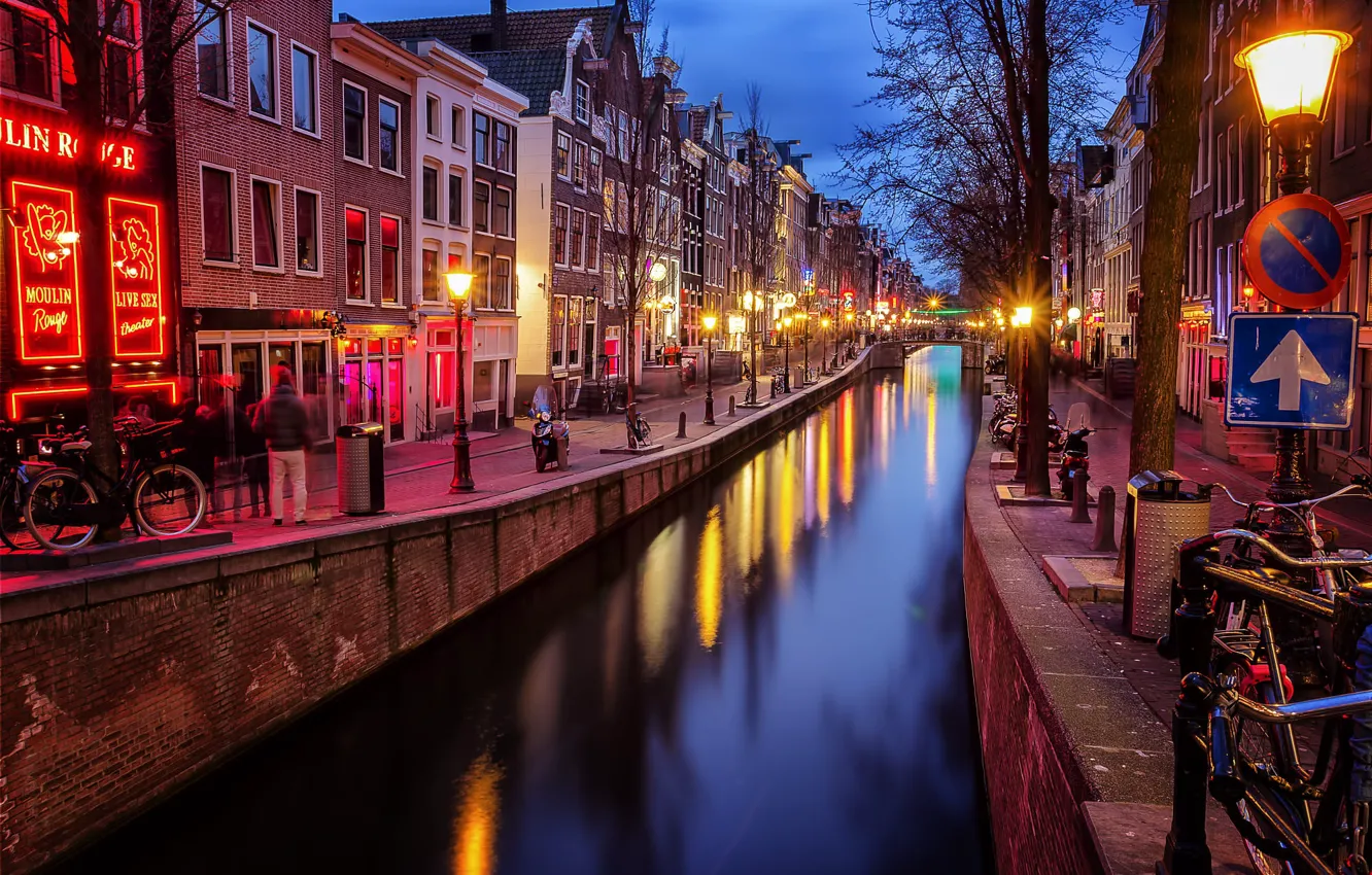 Photo wallpaper trees, the city, street, home, the evening, lighting, Amsterdam, lights