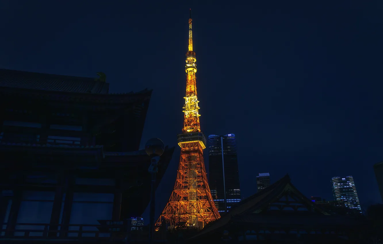 Photo wallpaper night, tower, Japan, Tokyo, Tokyo, Japan, Tokyo Tower, Lighting Night