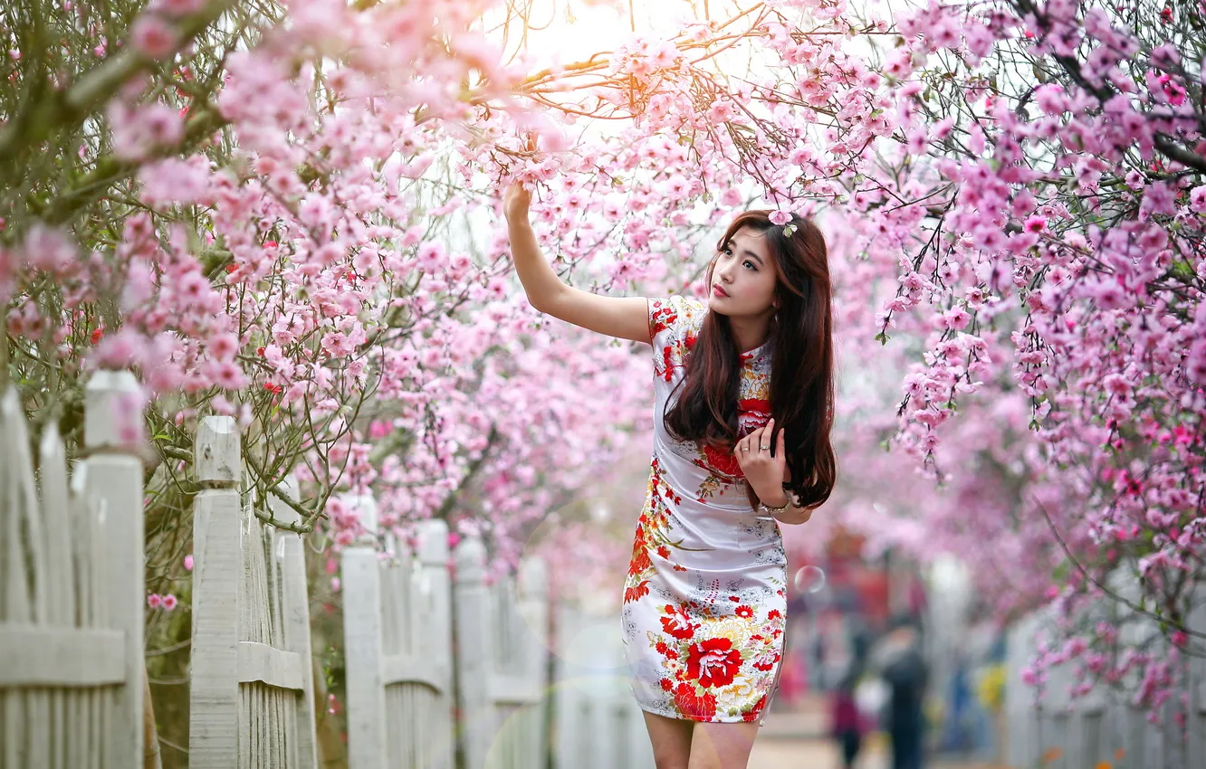 Photo wallpaper girl, background, Asian