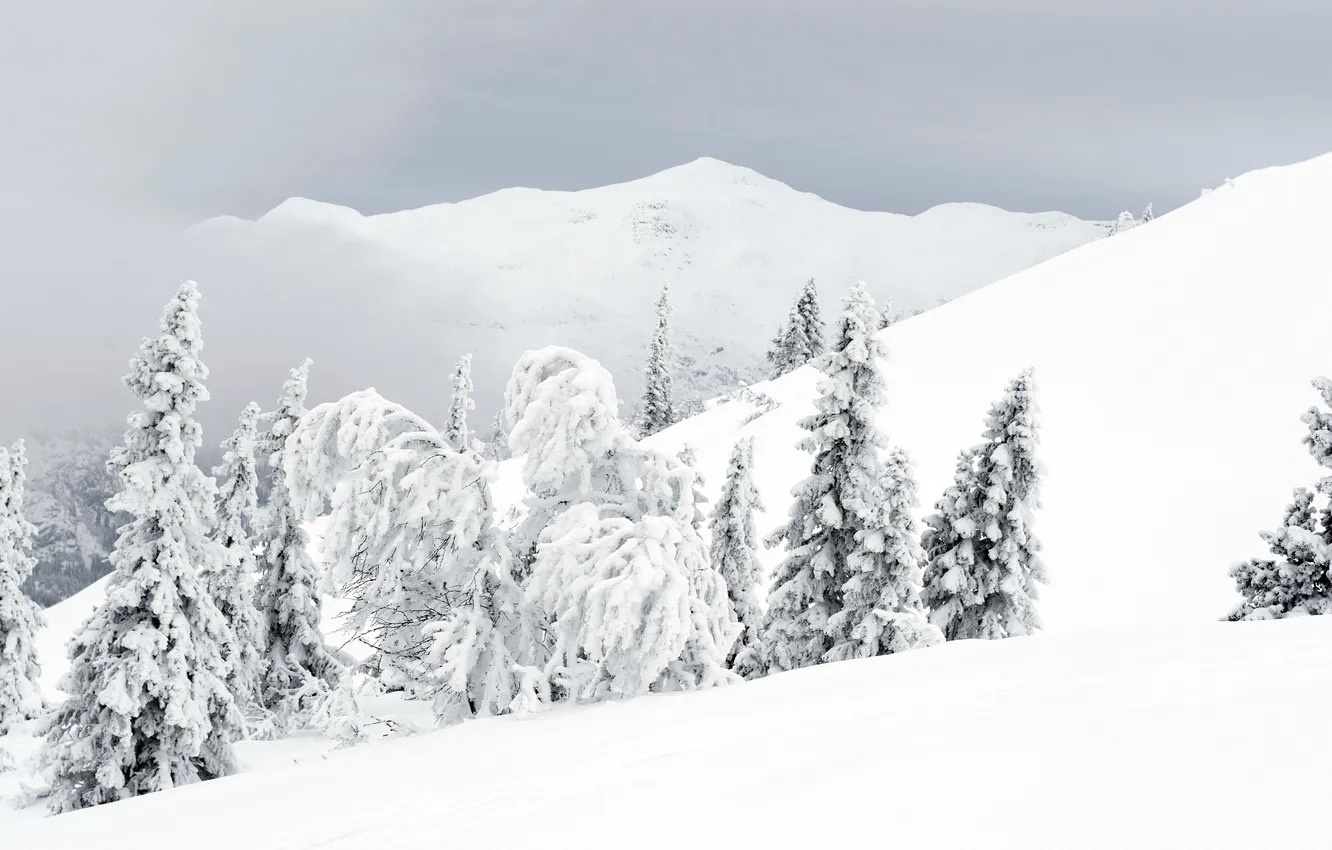 Photo wallpaper winter, mountains, nature