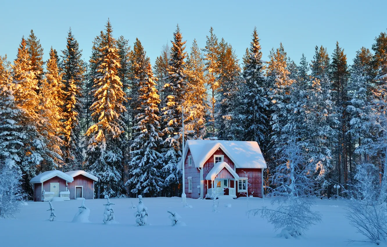 Photo wallpaper winter, snow, trees, tree, house