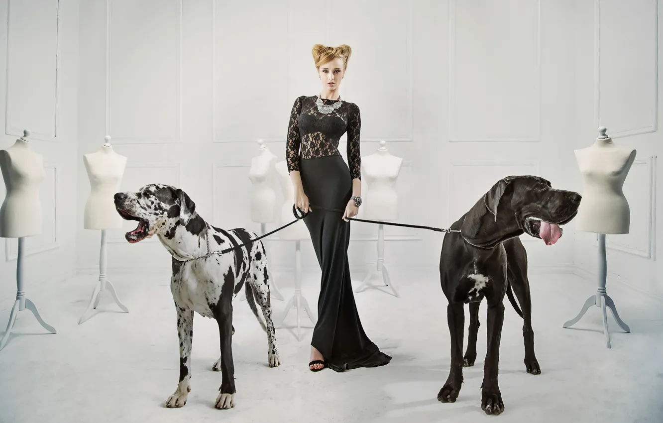 Photo wallpaper dogs, girl, decoration, pose, necklace, makeup, figure, dress