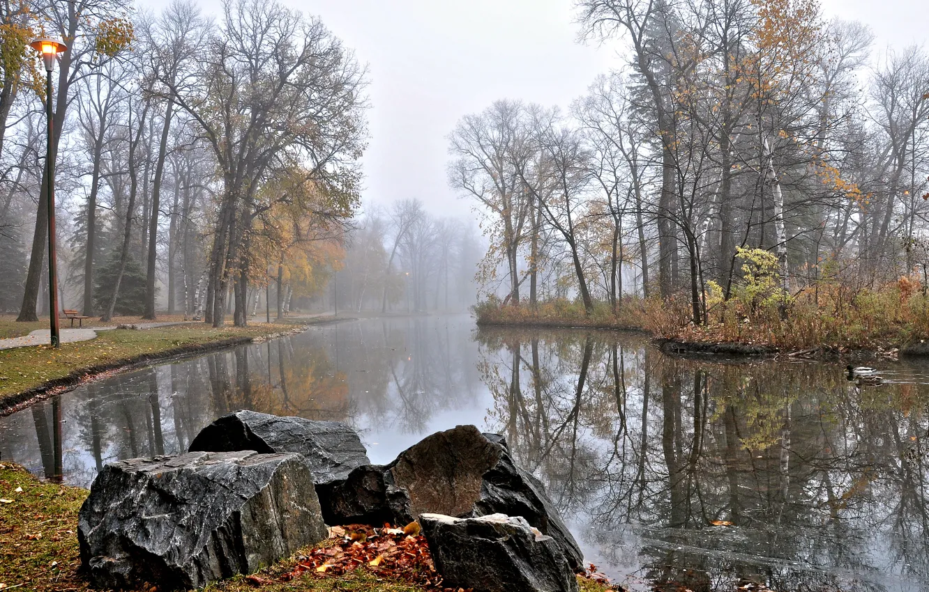 Photo wallpaper trees, water, park, lake, rocks, bench, ducks