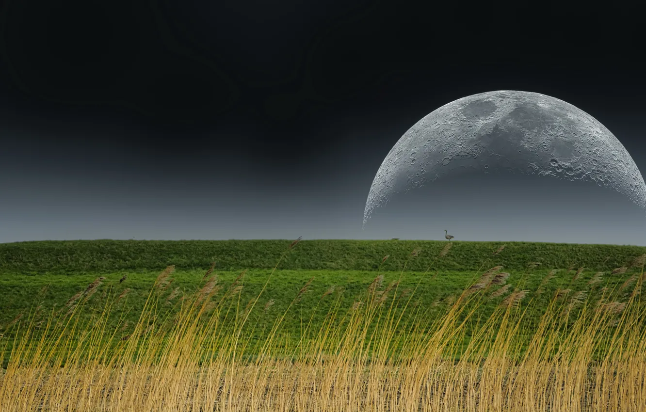 Photo wallpaper nature, earth, the moon
