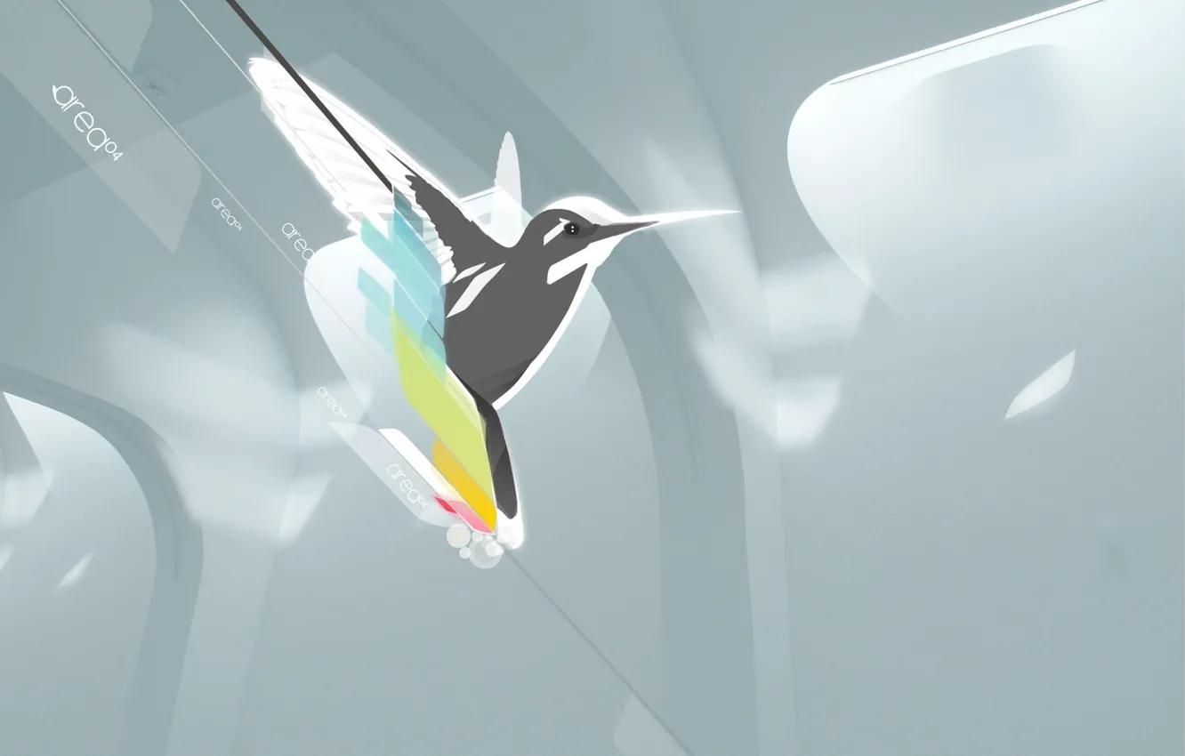 Photo wallpaper minimalism, vector, Bird, Hummingbird