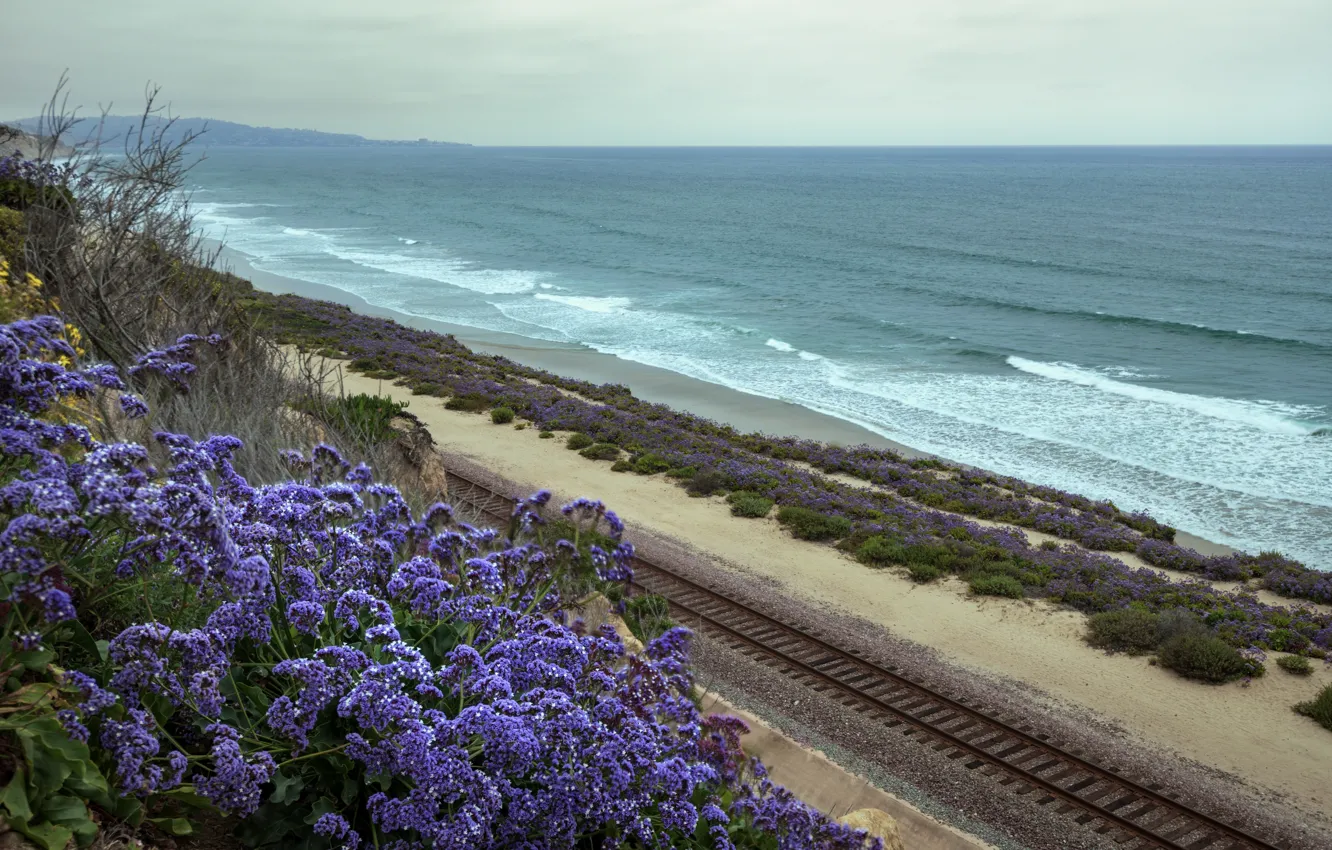 Photo wallpaper road, sand, sea, wave, beach, summer, flowers, shore