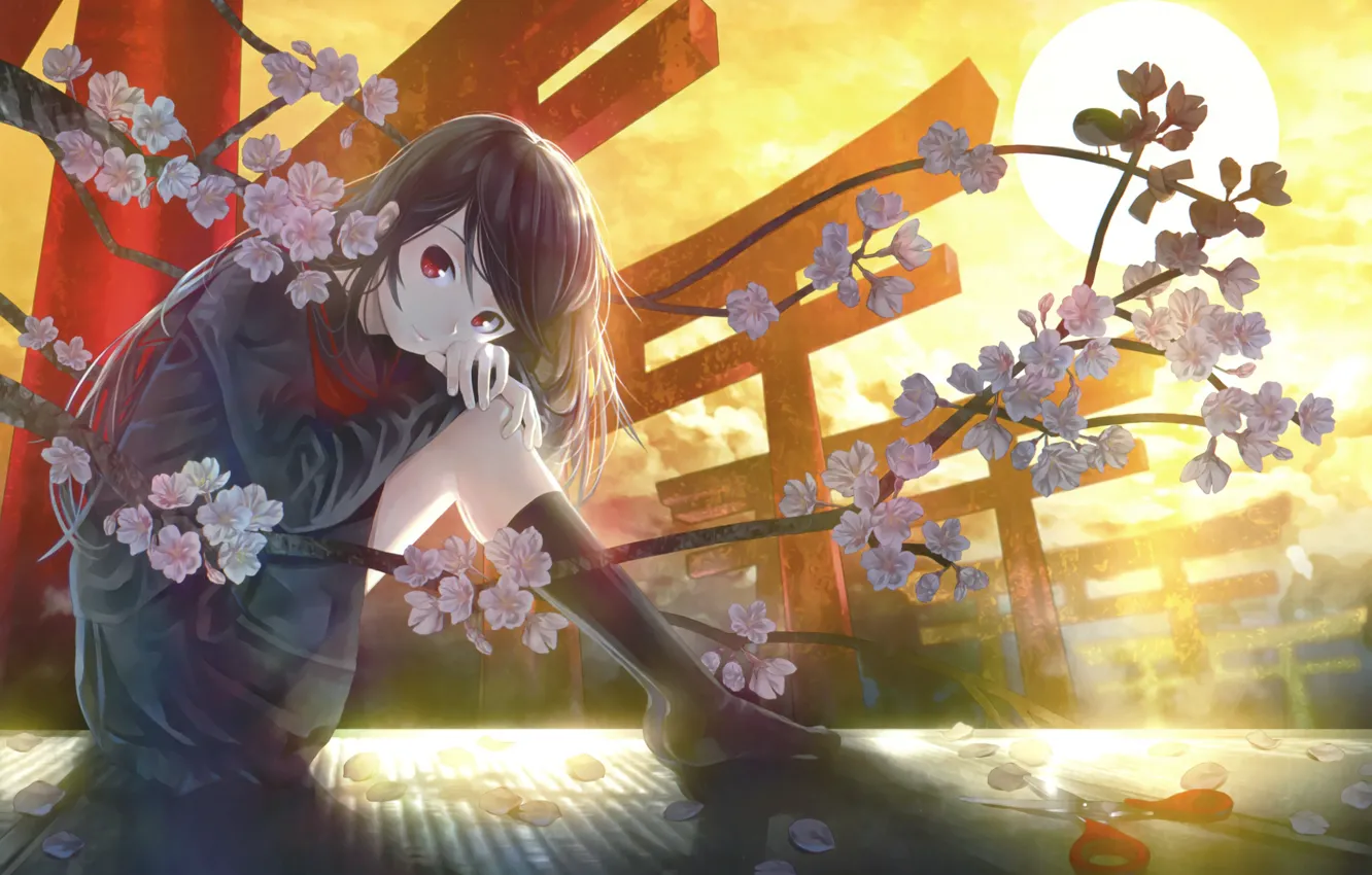 Photo wallpaper Sunset, Flowers, The sun, Girl, The evening, Sakura