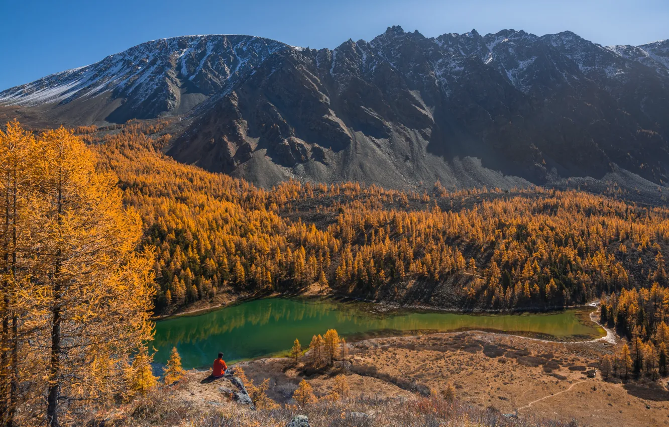Photo wallpaper autumn, forest, landscape, mountains, nature, lake, valley, Altay