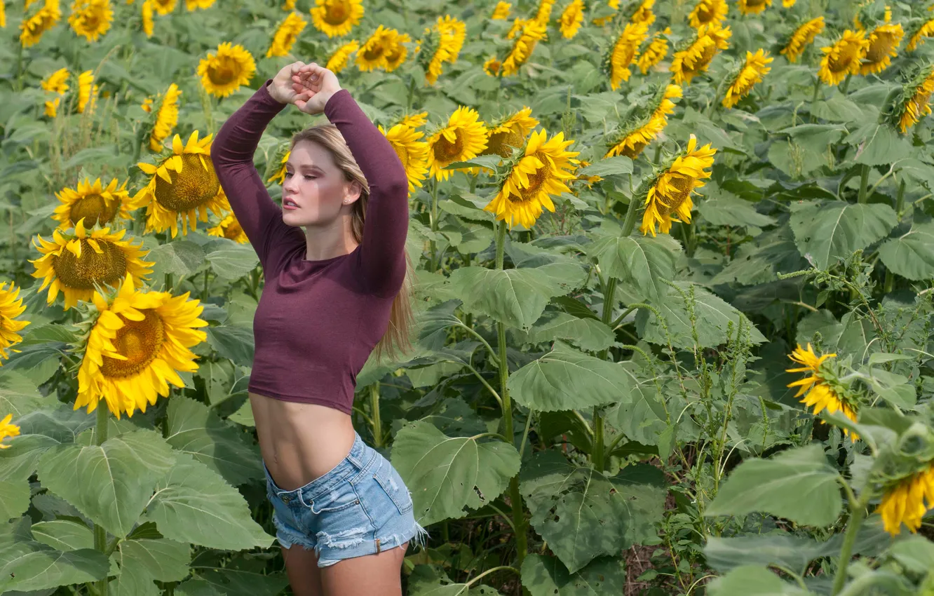 Photo wallpaper field, the sun, sunflowers, pose, model, shorts, portrait, hands
