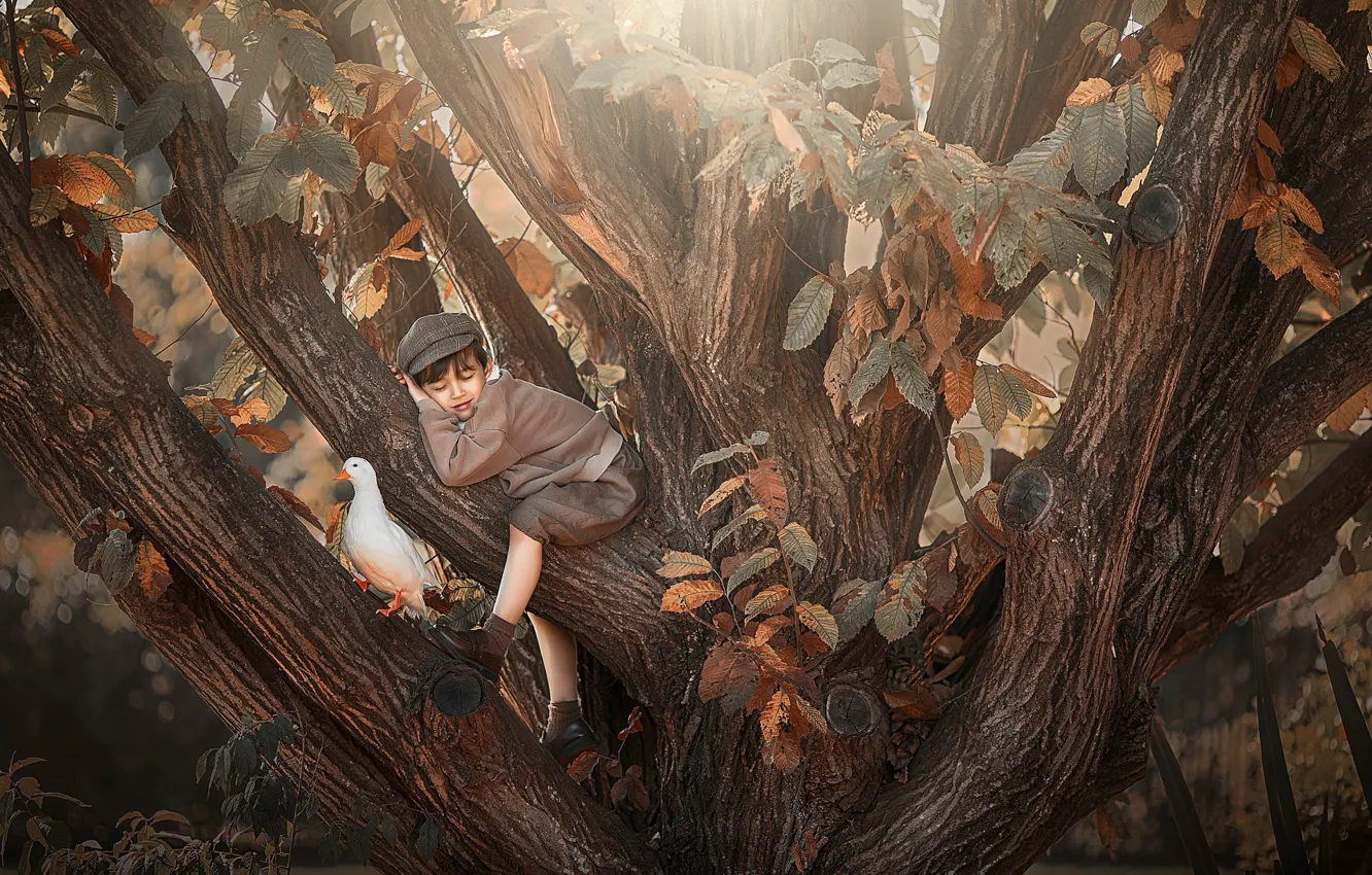 Photo wallpaper leaves, trees, children, bird, duck, boy