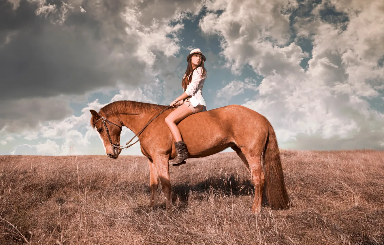 Photo wallpaper girl, horse, rider