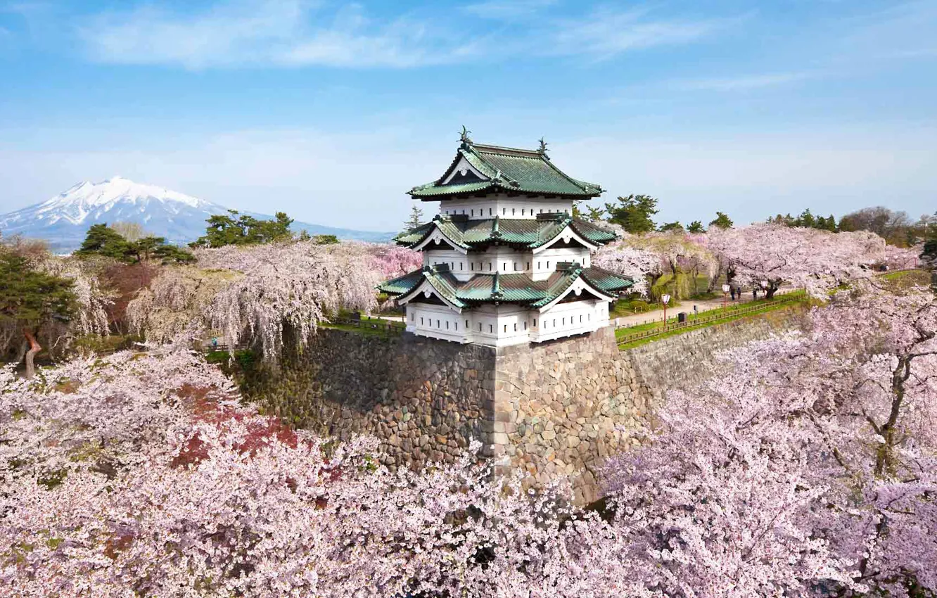 Photo wallpaper castle, mountain, spring, Japan, Sakura, flowering, Hirosaki, Aomori Prefecture