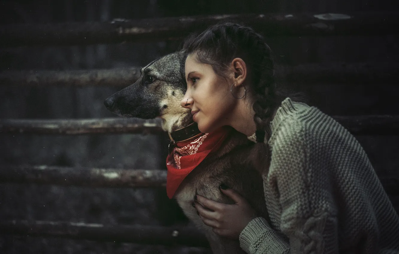 Photo wallpaper dog, friendship, girl, friends, Ilya Tsymbal