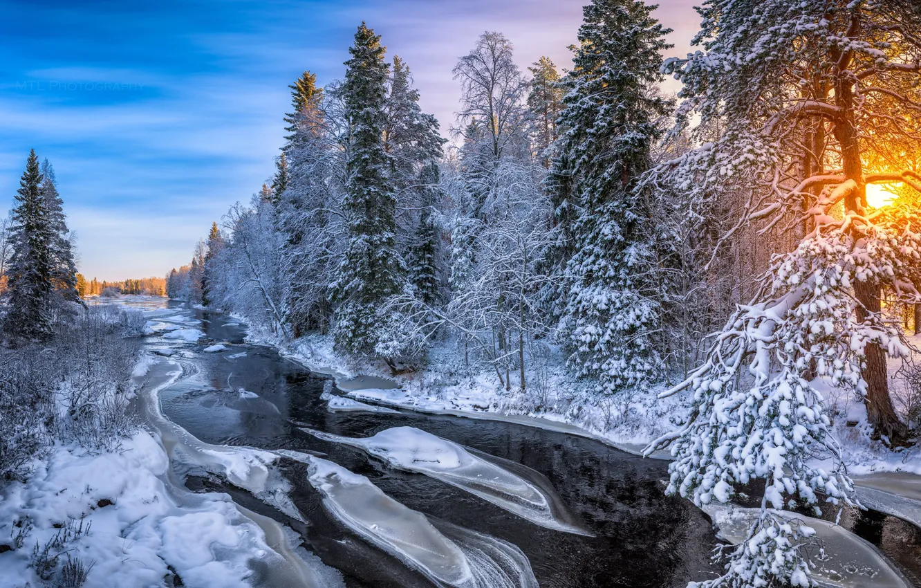 Photo wallpaper winter, forest, river, morning