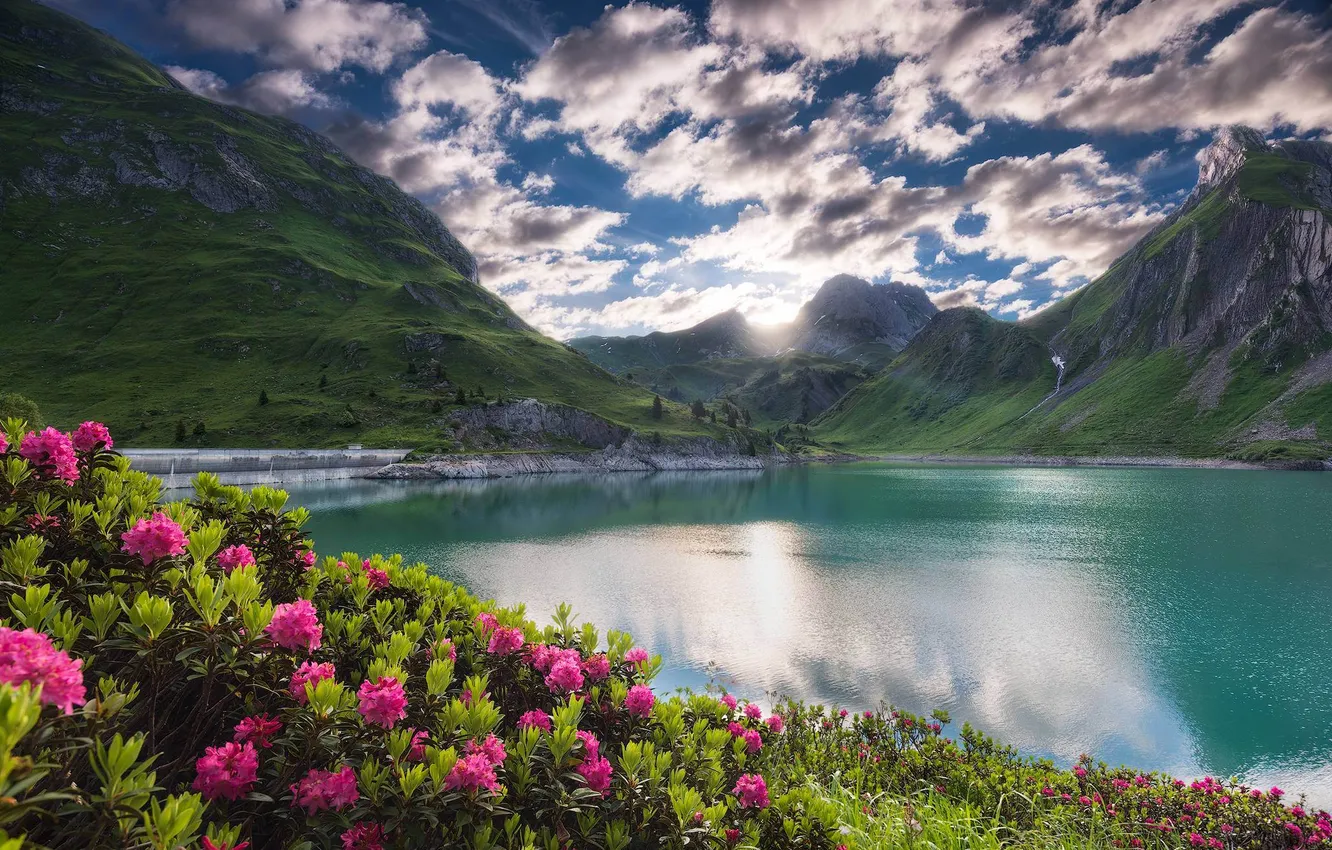 Photo wallpaper field, the sky, clouds, landscape, flowers, mountains, nature, lake