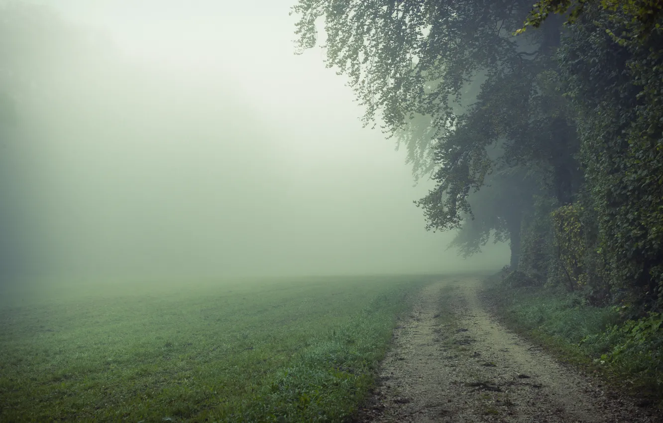 Photo wallpaper road, field, nature, fog, morning