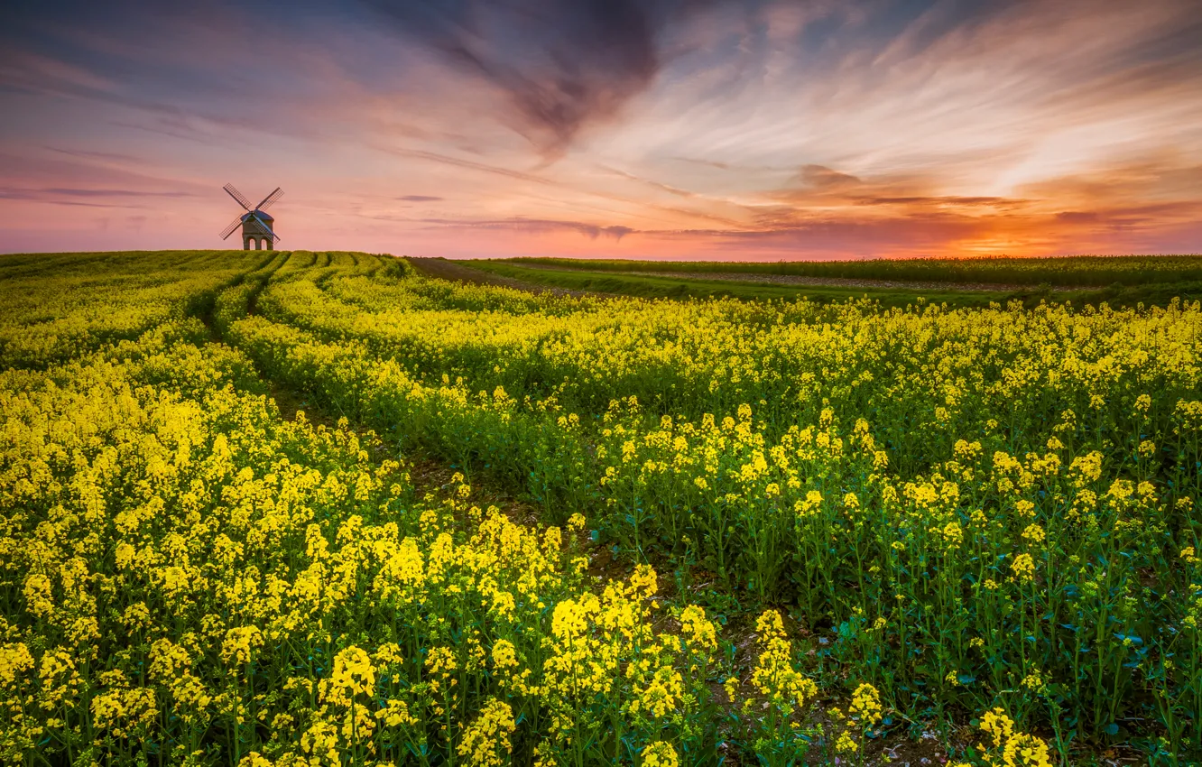 Photo wallpaper field, the evening, UK, County, rape, windmill, Warwickshire, monument