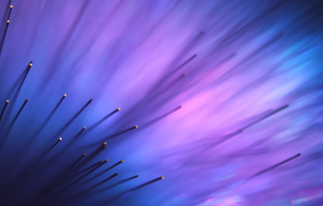 Photo wallpaper purple, macro, flowers, abstraction, Aurora, Aurora