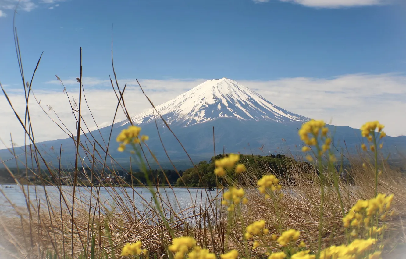 Photo wallpaper the sky, grass, snow, flowers, mountains, lake, blue, shore