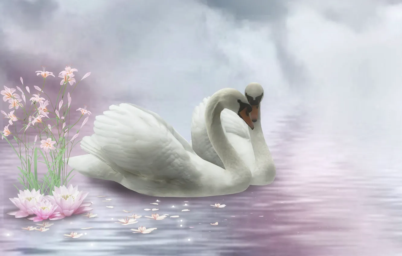 Photo wallpaper pair, swans, pond