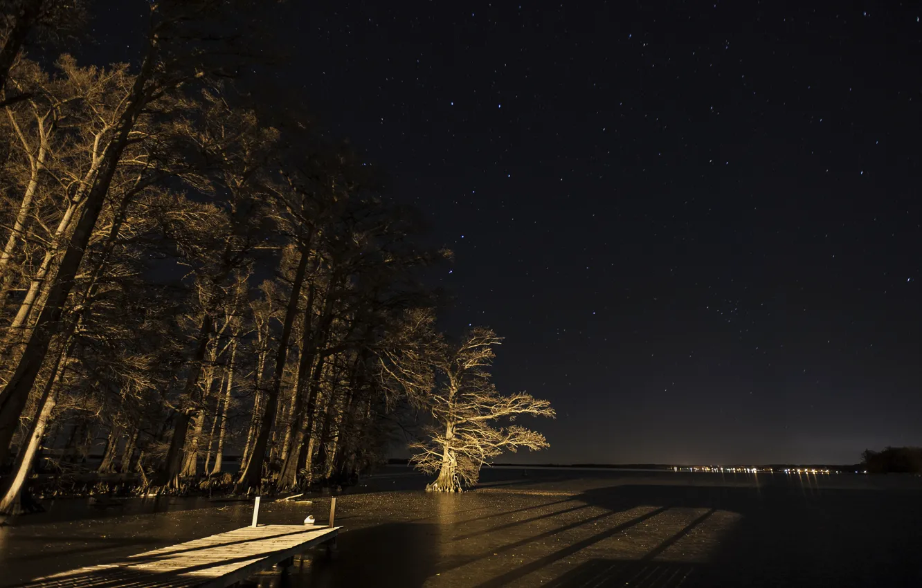 Photo wallpaper forest, stars, night, lights, river, Marina, pier, pond