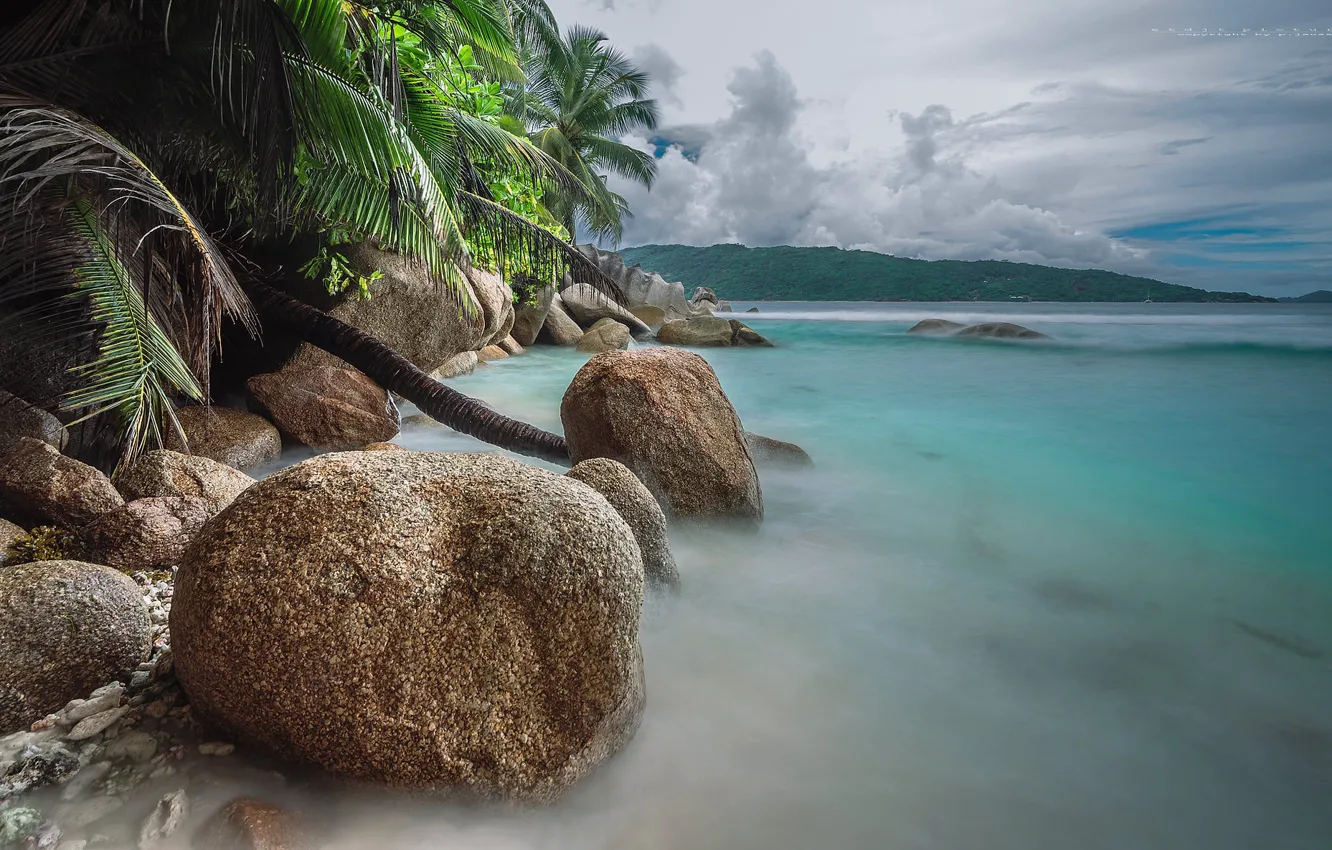 Photo wallpaper sea, palm trees, coast, stone