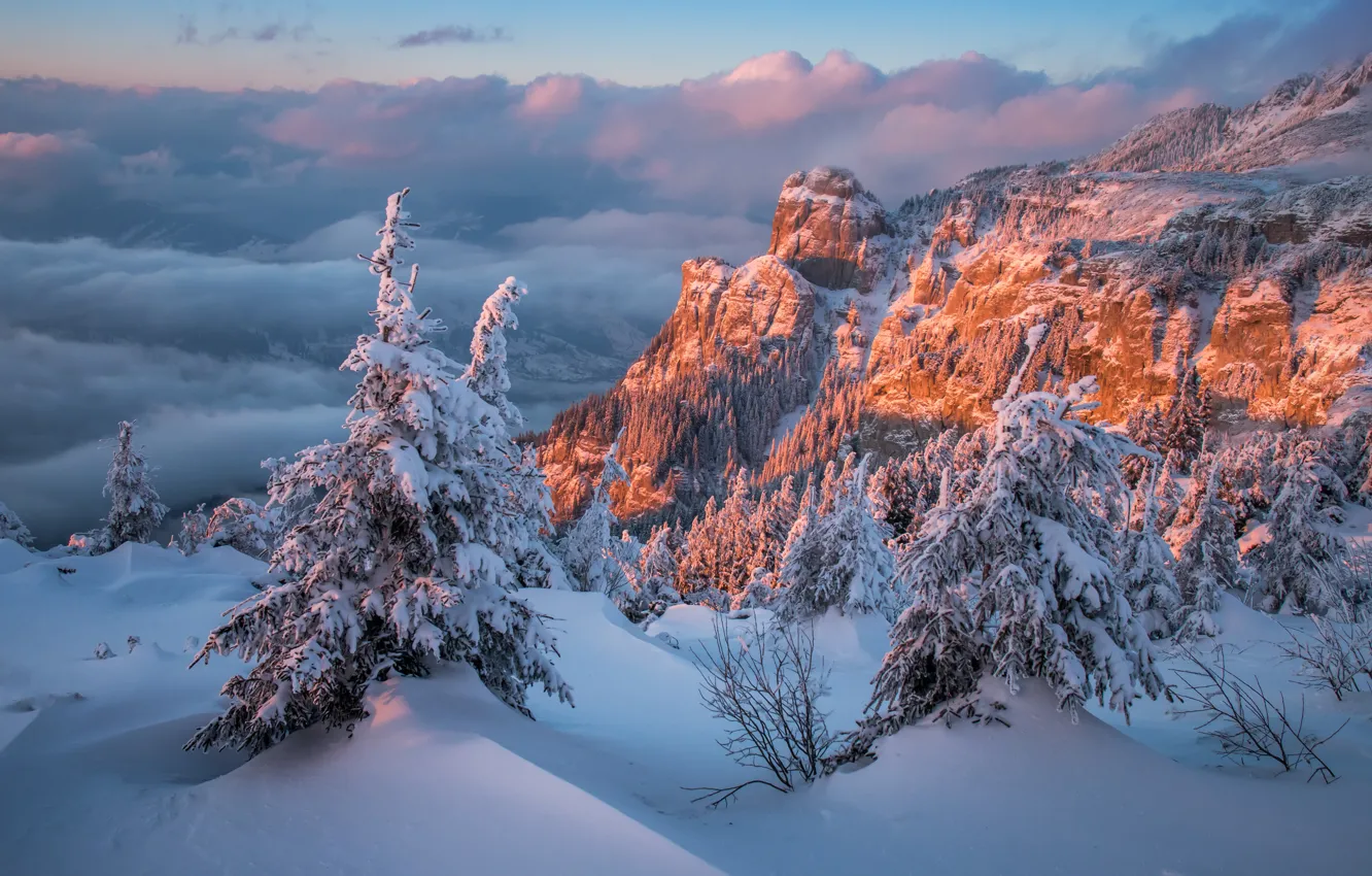 Photo wallpaper winter, clouds, snow, trees, landscape, sunset, mountains, nature