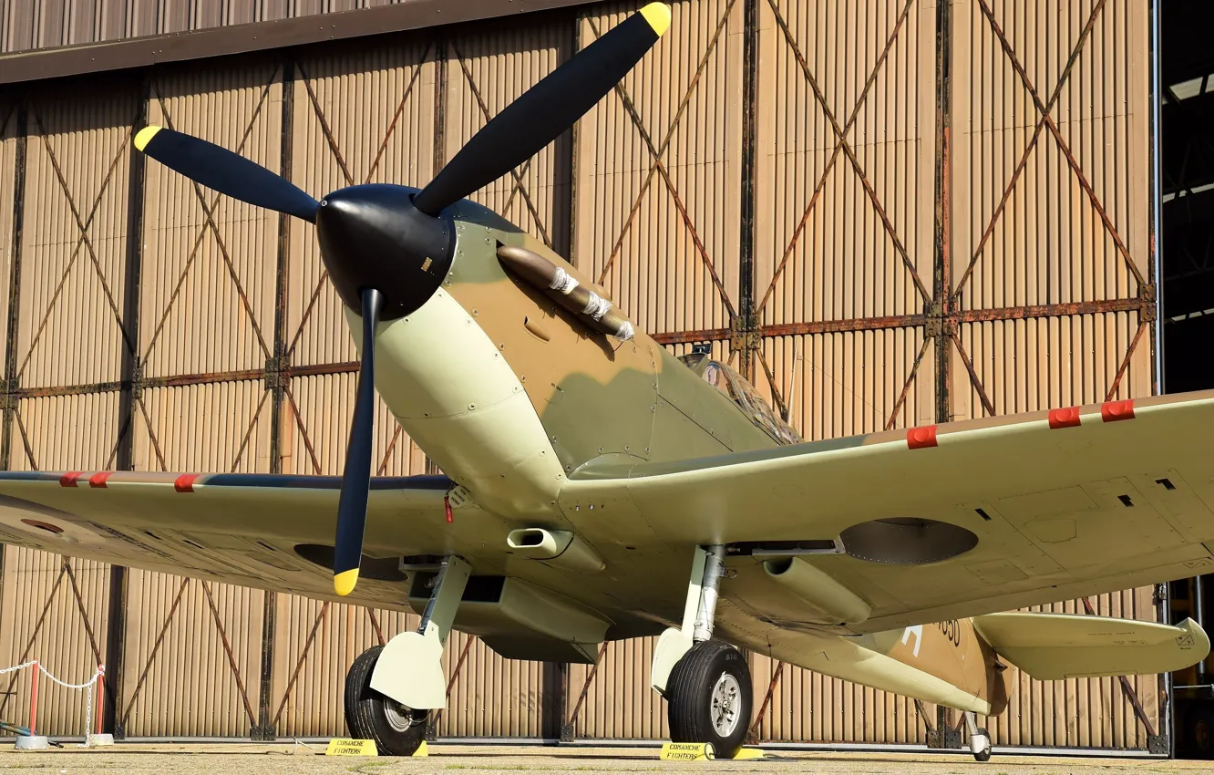 Photo wallpaper fighter, British, Spitfire, single-engine