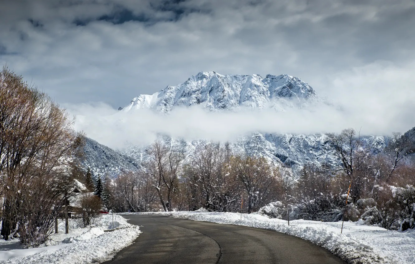 Photo wallpaper winter, snow, trees, landscape, mountains, road, trees, landscape