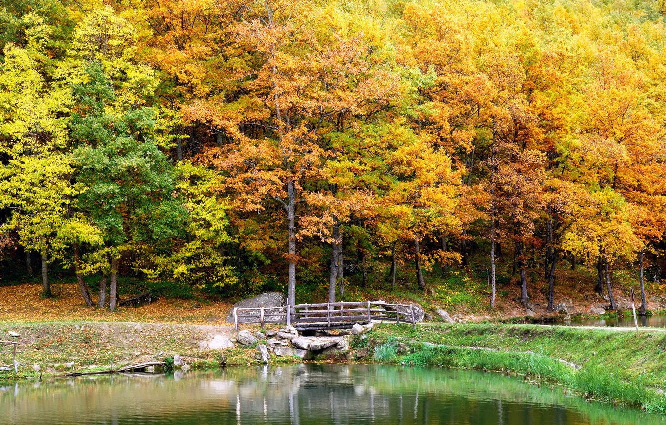 Photo wallpaper autumn, trees, landscape, bridge, nature, lake, trees, landscape