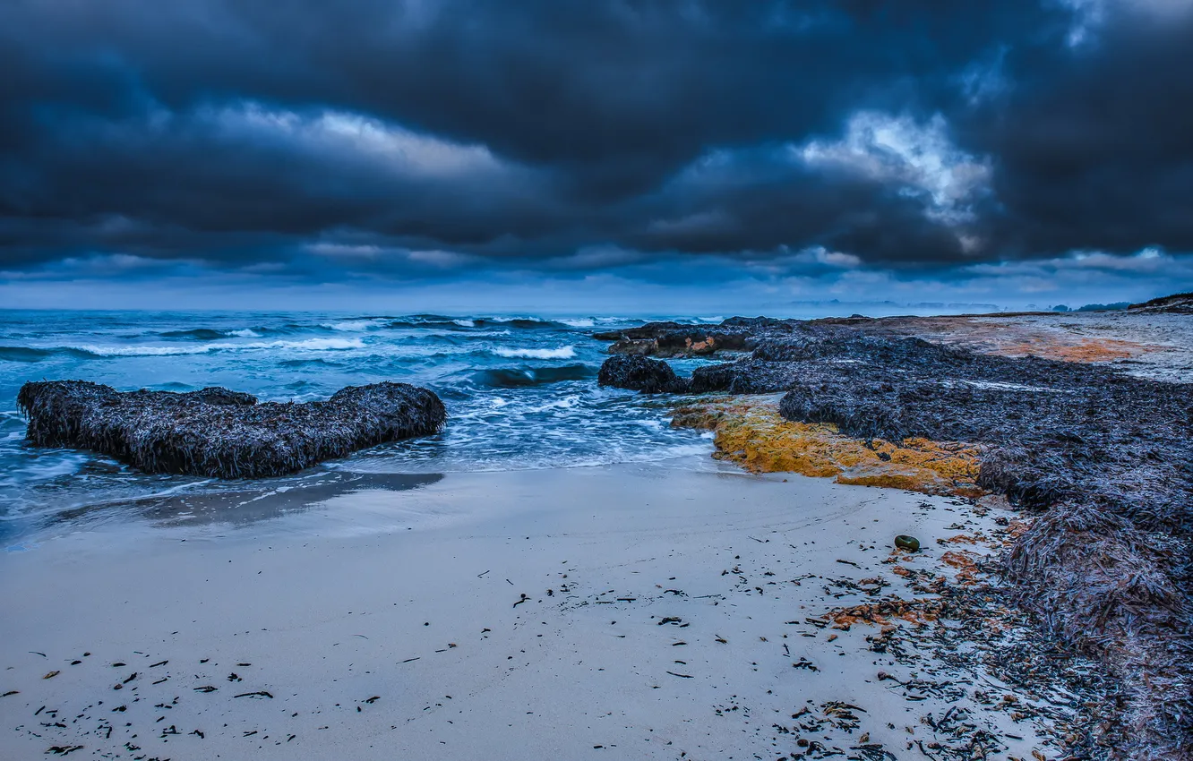 Photo wallpaper sea, the sky, shore