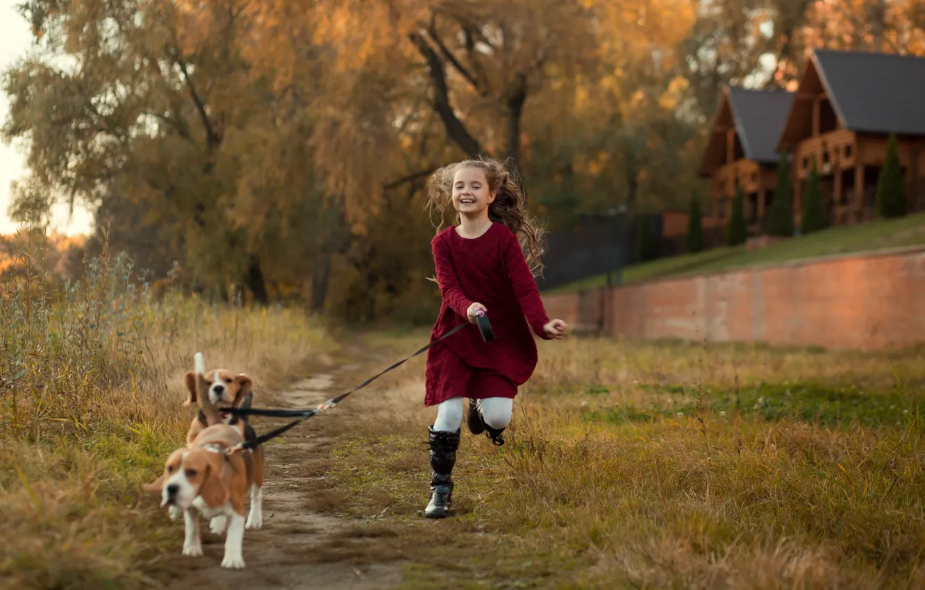 Photo wallpaper autumn, animals, dogs, nature, home, girl, child, Beagle
