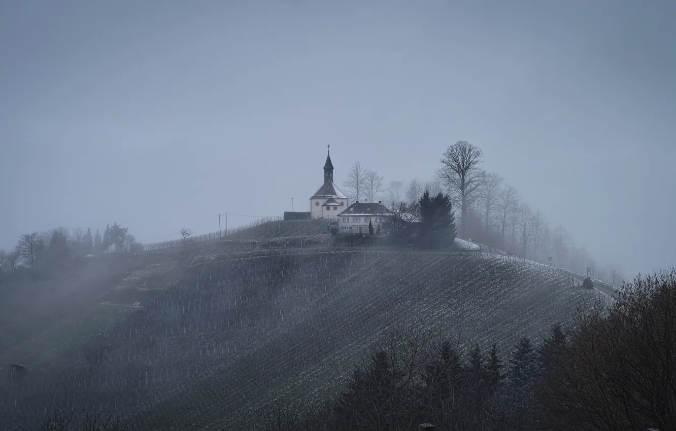 Photo wallpaper winter, house, Germany, hill, Baden-Württemberg, Roland C. Vogt photography, the city of Gengenbach