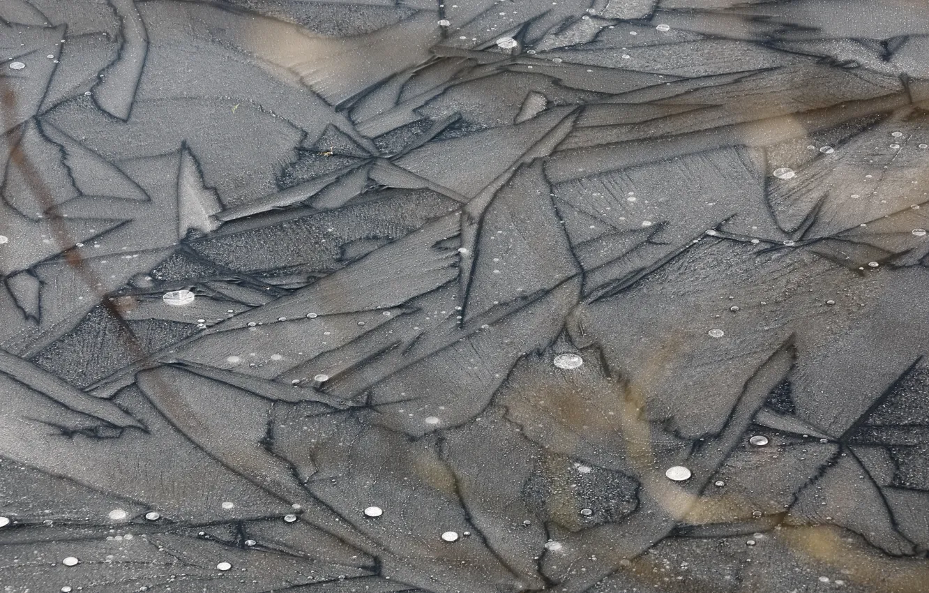 Photo wallpaper cold, ice, nature