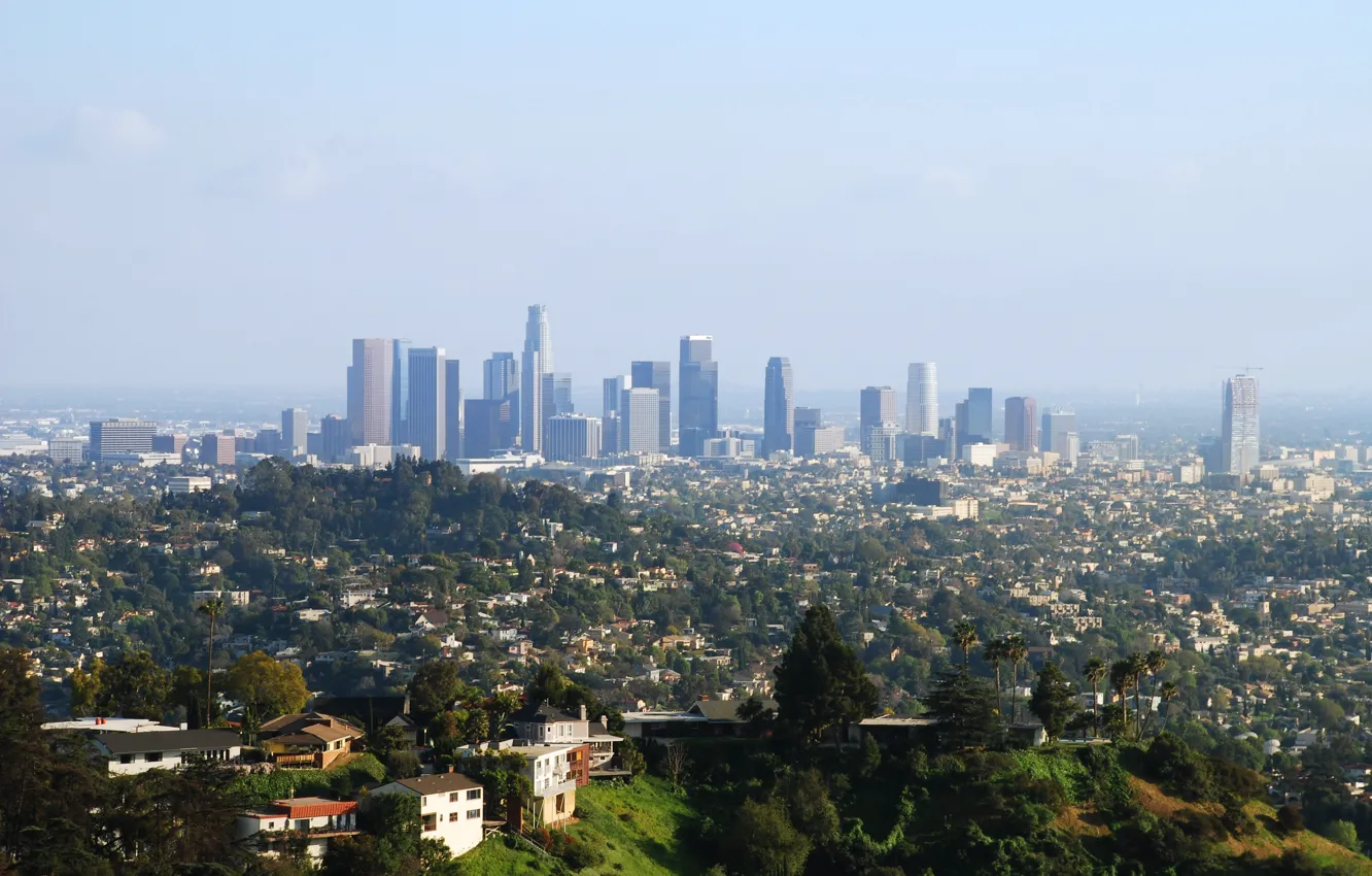 Photo wallpaper trees, Park, home, skyscrapers, megapolis, Los Angeles, Downtown